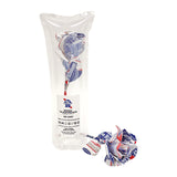 Pabst Blue Ribbon × BEDWIN & THE HEARTBREAKERS × THE FLWRS "ROSE"